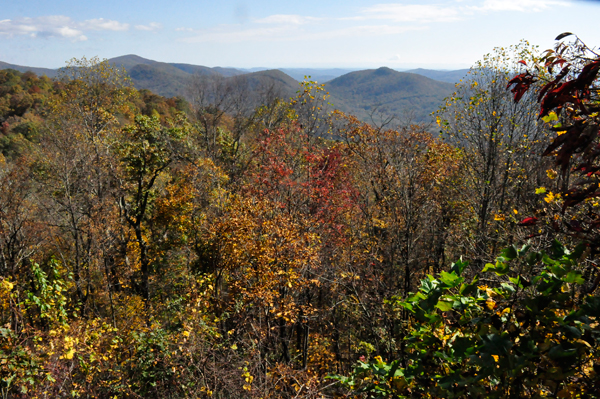 fall colors